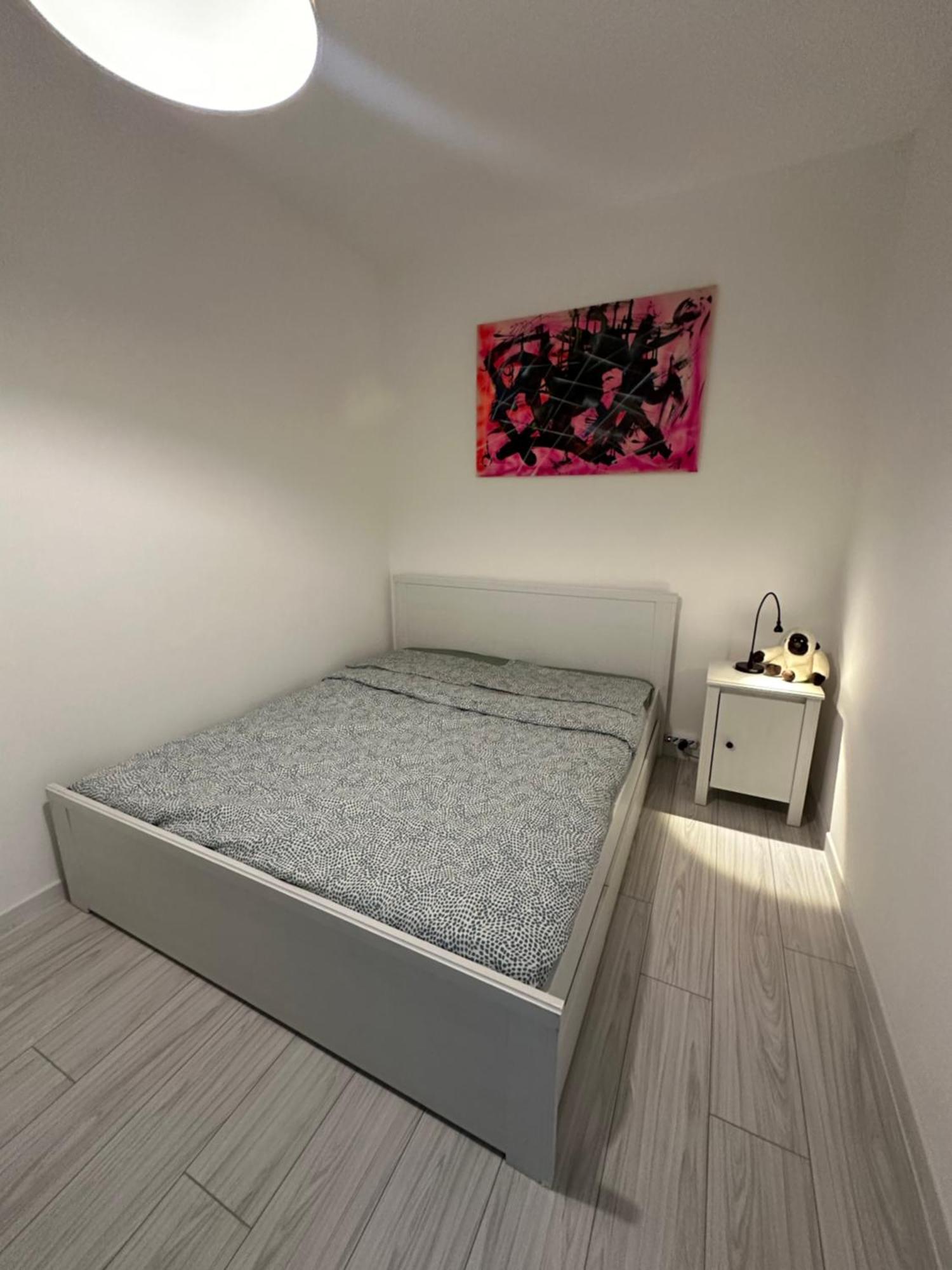 B&B Luna Rosa 比萨 外观 照片